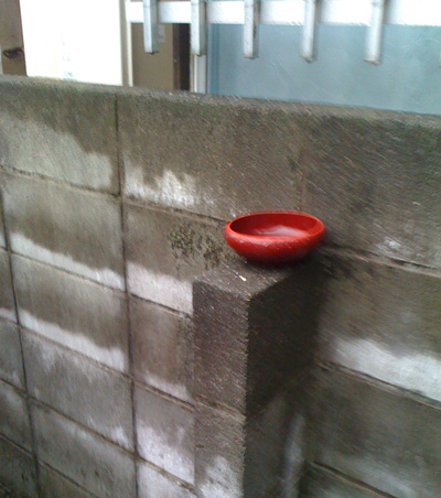 エリア拡大の朝の捜索。_a0021523_12323447.jpg