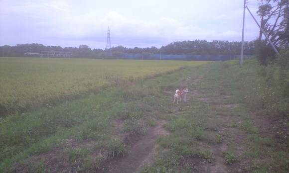 e0227023_1764.jpg