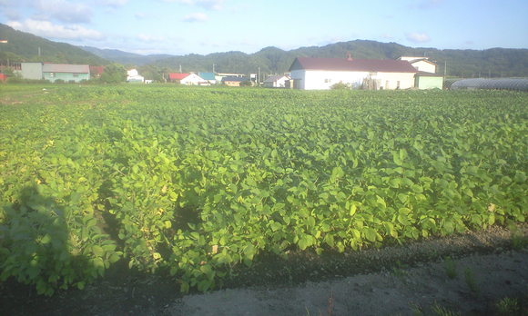 e0227023_18826.jpg