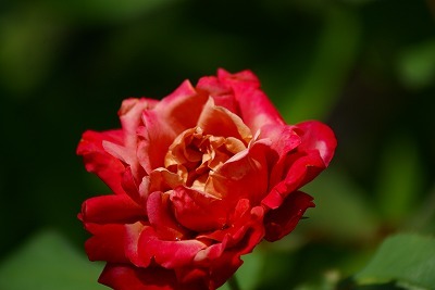 f0170524_13244723.jpg