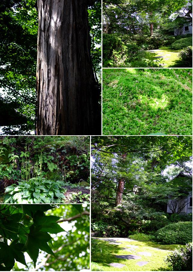 「長野・小布施 小布施の町並み・栗の小径」_a0000029_1036266.jpg