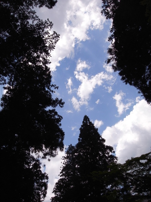 d0178432_16185276.jpg