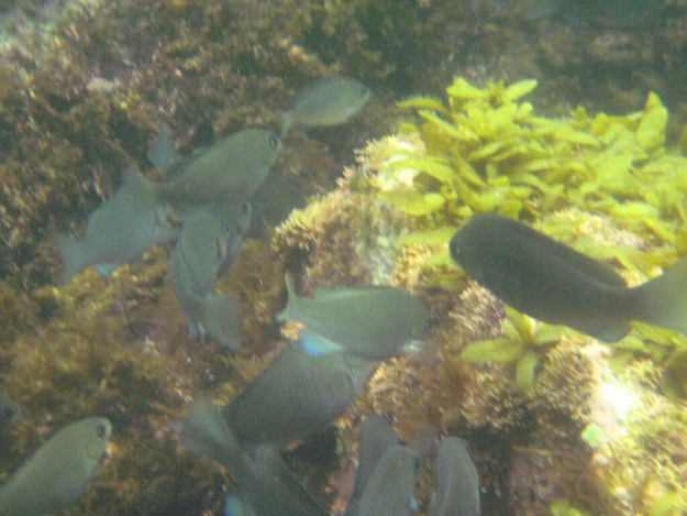 c0113733_23552151.jpg