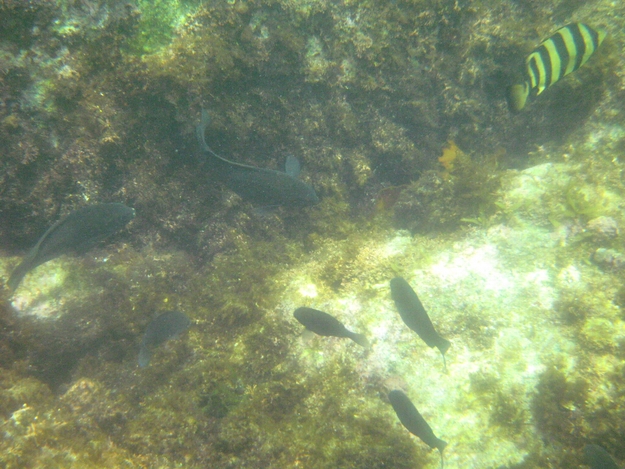 c0113733_23553377.jpg