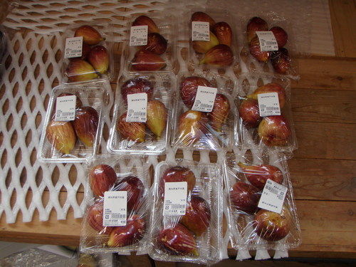 直販所に秋の味覚見つけました。_f0227434_1036714.jpg