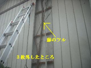 4ヶ所の現場_f0031037_211322.jpg