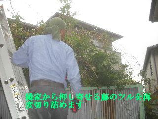 4ヶ所の現場_f0031037_213990.jpg