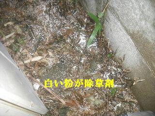 4ヶ所の現場_f0031037_2172241.jpg