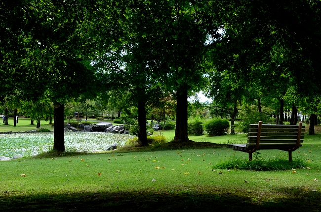 e0055138_8473086.jpg