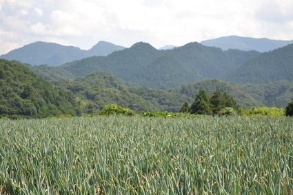 道の駅しもにた　2011_e0228938_17595033.jpg