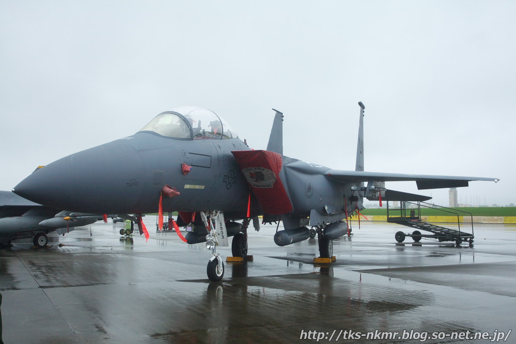 8/21 F-15E Strike Eagle_a0219140_21252461.jpg