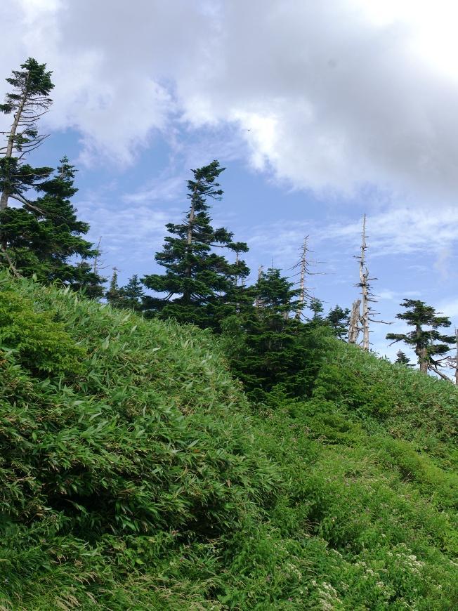 d0237340_20572351.jpg