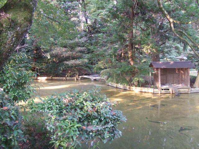 Ajiki Shrine in Toyosato-cho_e0046748_17471216.jpg