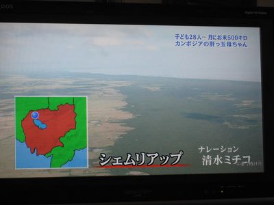 日曜日のテレビは参考になる・_f0148649_2040379.jpg