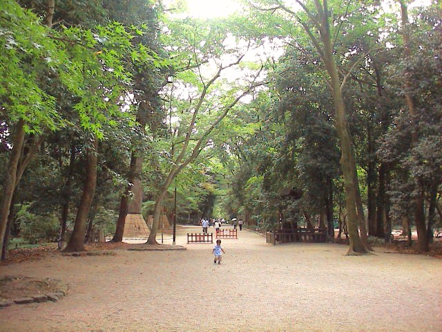 社員旅行…?その2_e0060555_1445592.jpg