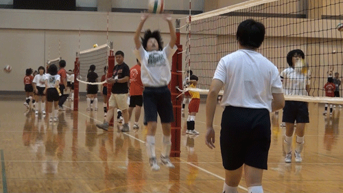 c0000970_13255618.gif