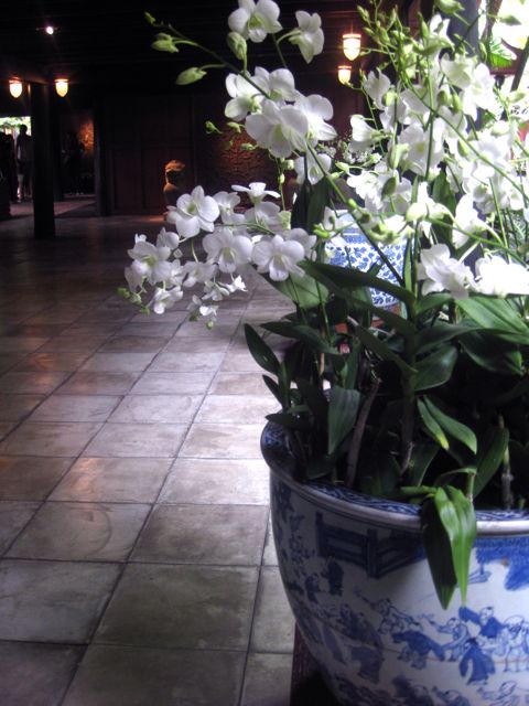 d0008073_039089.jpg