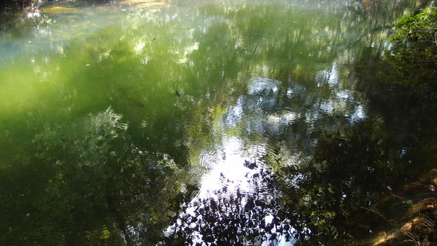 e0024081_16545310.jpg