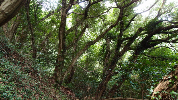 e0024081_16553240.jpg