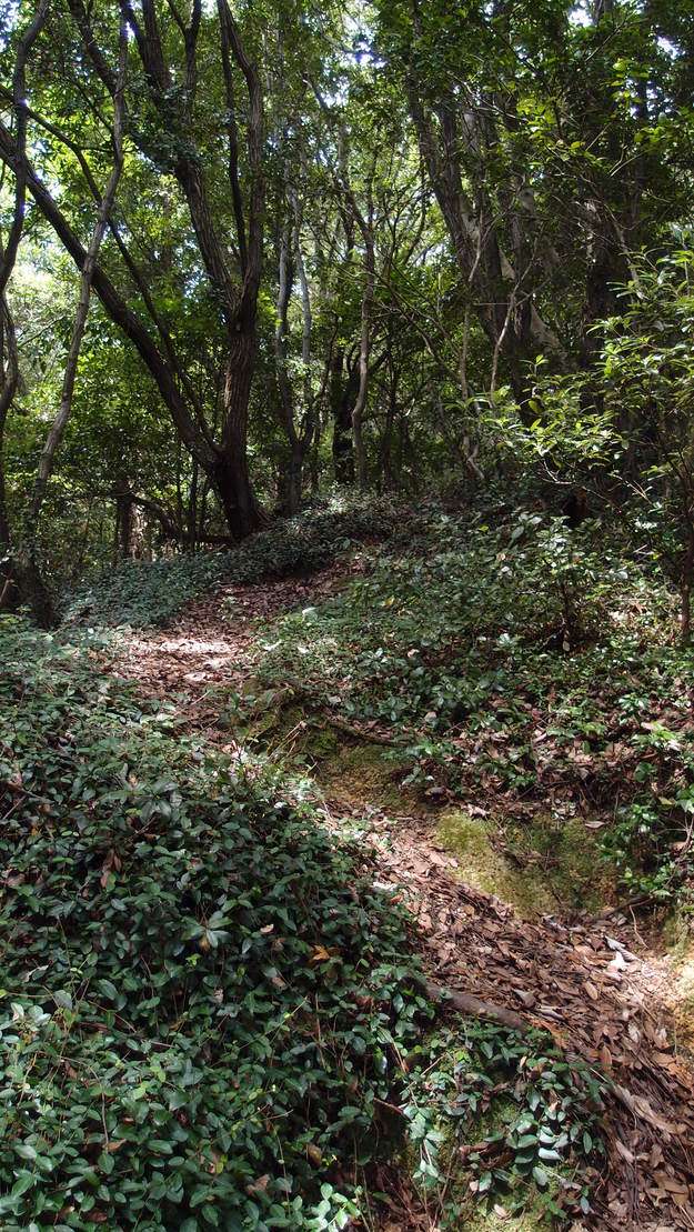 e0024081_16554477.jpg