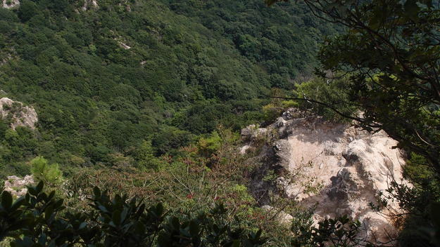 e0024081_16562392.jpg
