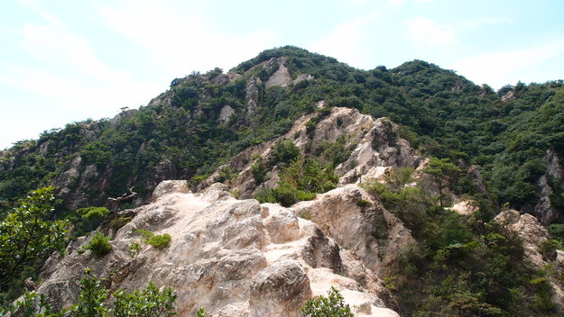 e0024081_1656479.jpg