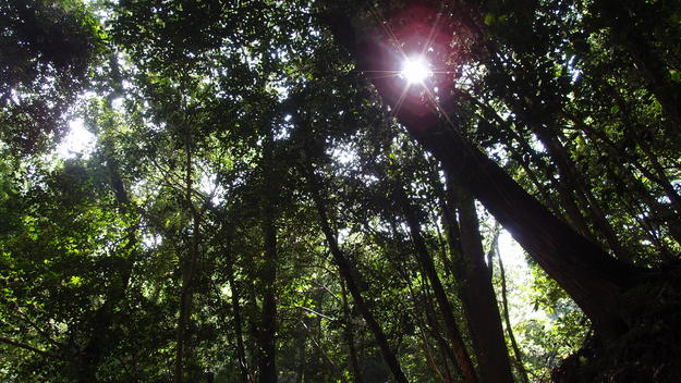 e0024081_16573129.jpg