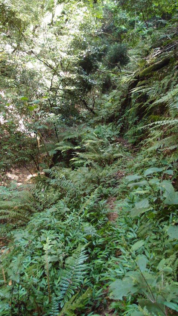 e0024081_16581082.jpg