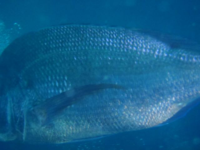 f0053895_1754815.jpg