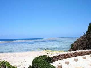 d0230096_1265457.jpg