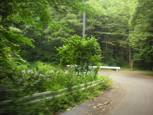 d0115997_0431738.jpg