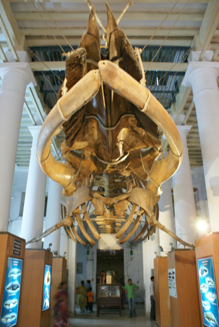 f0179202_11293776.jpg