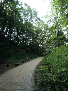 a0157303_15543916.jpg