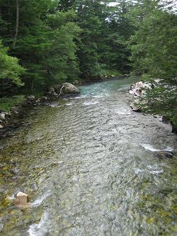 a0154304_1656234.jpg