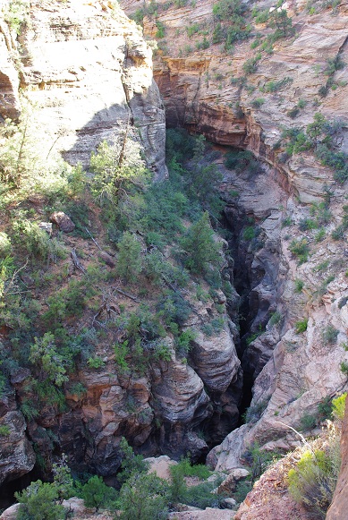f0038904_951886.jpg