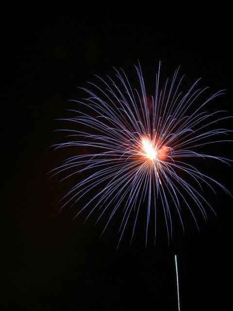 b0187505_2014837.jpg