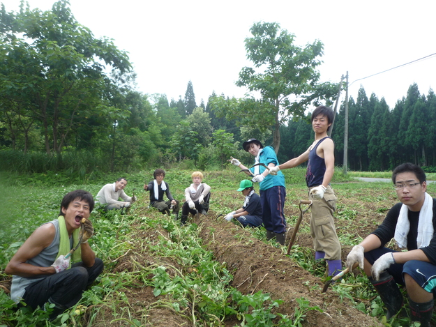 新潟夏の農業体験ワークキャンプ報告☆_a0080406_11392890.jpg