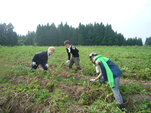 新潟夏の農業体験ワークキャンプ報告☆_a0080406_11421947.jpg