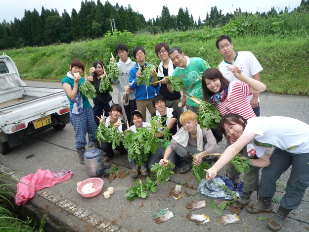 新潟夏の農業体験ワークキャンプ報告☆_a0080406_1510446.jpg