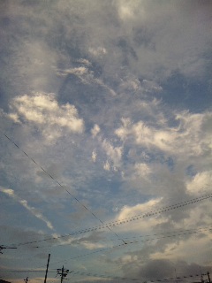 空を見上げたら_f0042307_1292596.jpg