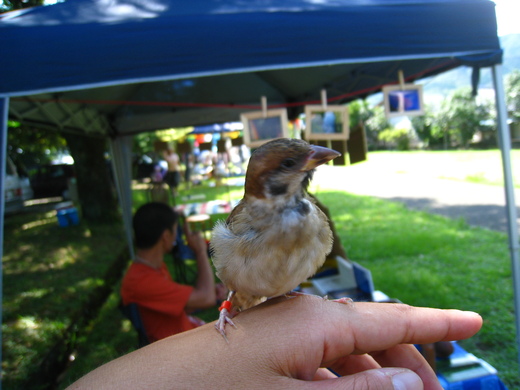 f0233007_834189.jpg