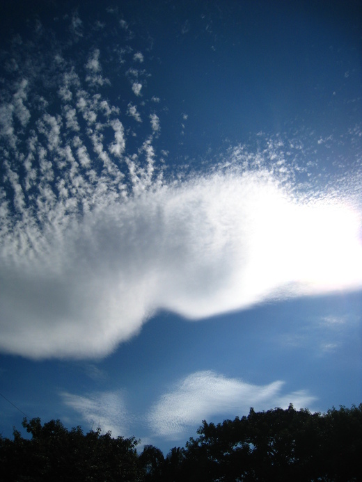 f0233007_8481023.jpg