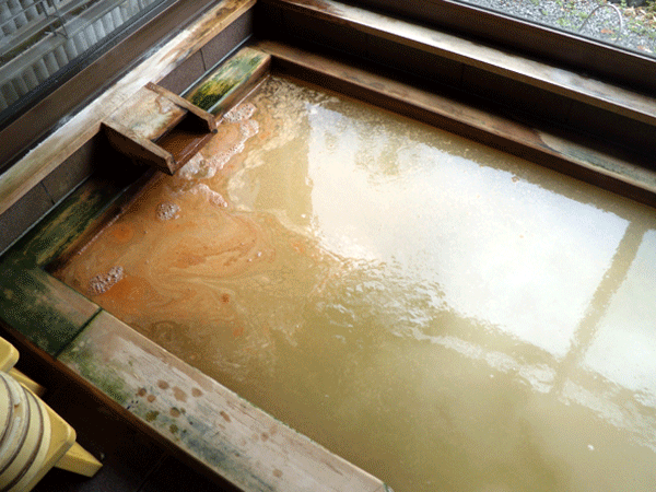 b0159611_034575.gif