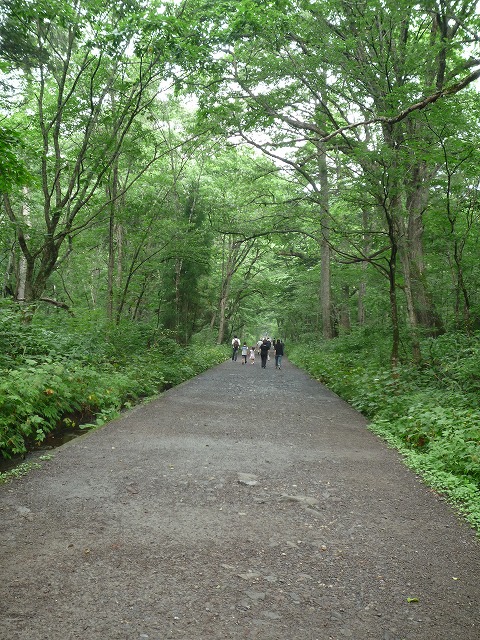 d0224712_84044.jpg