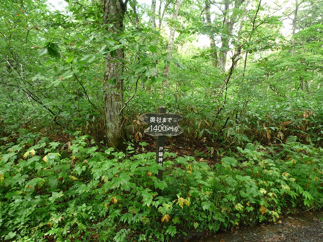 d0224712_8413994.jpg