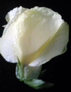 c0213817_13112521.jpg