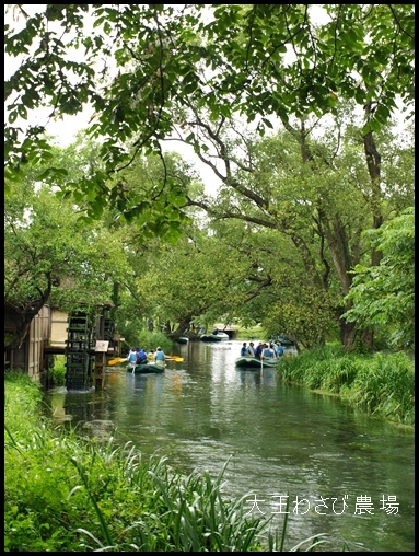 c0176527_18701.jpg