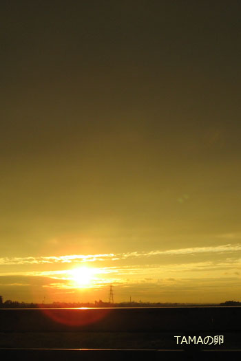 c0024729_20402952.jpg