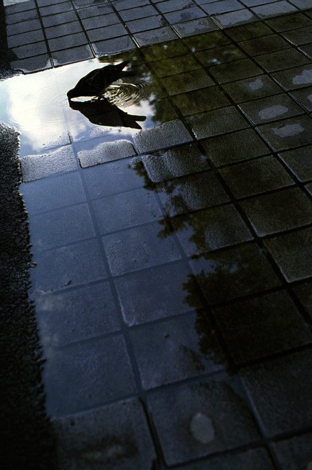 2011-8-23　安らぎ_c0136330_1251561.jpg