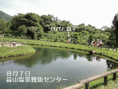 f0196231_19582836.gif